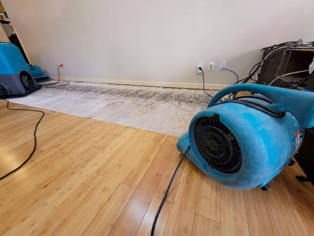 Professional Structural Drying technician working in Chester, NH